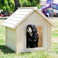 ECO BUNK HOUSE OUTDOOR DOG HOUSE  NEW AGE PET  X LARGE