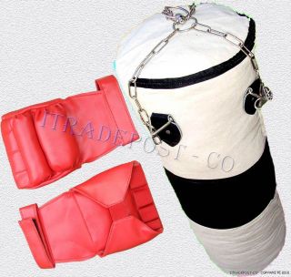 boxing/punching/ Canvas bag w/chain,punching gloves,Priority Mail 
