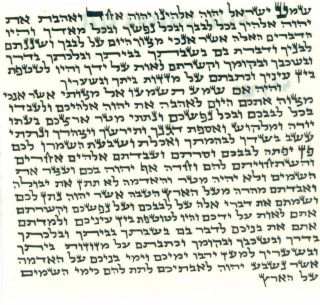   10cm Mezuza Parchment Prayer klaf Hebrew Torah Mezzuzah Kosher 10