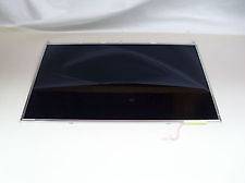 AU Optronics B170PW06 LCD laptop Screen 17 inches