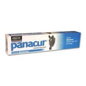 Intervet Panacur Dewormer 25 Gram Paste (100 mg/g)