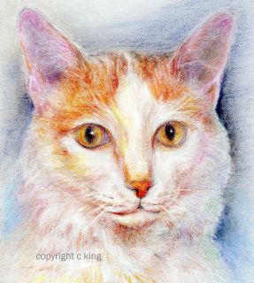 ORIGINAL PASTELS ART PORTRAIT TURKISH VAN CAT