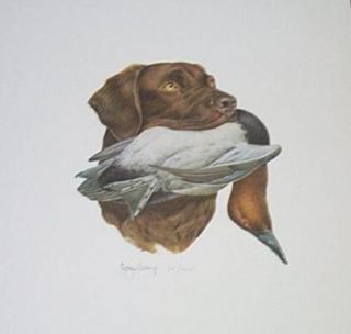 Chesapeake Bay Retriever Dog & Canvasback Duck Print ltd s/n by 