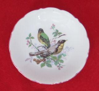 Porcelain Pin Dish Yellow Brest Birds in Berry Bushes