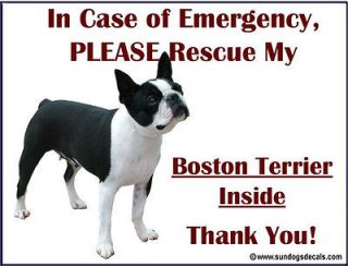 BOSTON TERRIER   In Case of Emergency Rescue my BOSTON TERRIER Window 