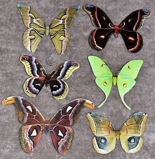 butterfly magnets in Home & Garden