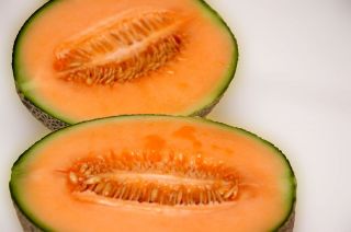 melon, IROQUOIS MUSKMELON, cantaloupe, 40 seeds GroCo