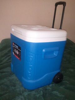 igloo cooler in Canteens & Coolers