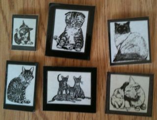 Assorted Cat Magnets   Clean Scottish Fold Tabby Abysinian 