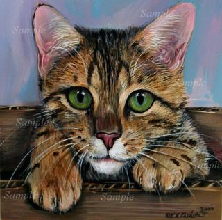 BENGAL KITTEN in Box LE#12/50 GICLEE Golden Tabby CAT ART Kristine 