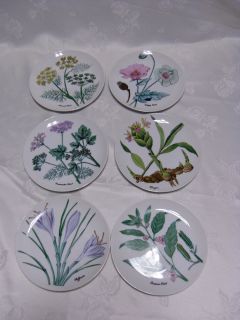 SHAFFORD CHINA COMPLETE SET OF HERB PLATES, GINGER, SESAME SEED 