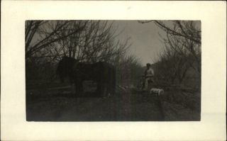 horse drawn disc in Antique Tractors & Equipment