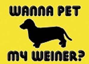 Offensive T Shirt Wanna Pet My Weiner Dog? Rude Tee Funny Shirt