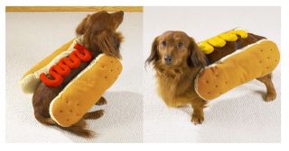 Hot Diggity Dog Costumes for Dogs   Halloween Dog Costume