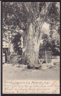 Newburgh New York Balmville Tree Children Wagon Antique Postcard