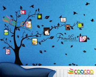 Wall Decal Sticker Removable Photo Frame Tree With Family Quote 39H x 
