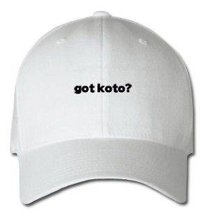 Got Koto? Musical Instrument Design Embroidered Embroidery Hat Cap