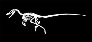 Dinosaur Skeleton Raptor T Rex Fossil Car Truck Window Decal Decals 