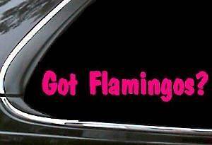 Got Flamingos Sticker Decal stickers flamingo pink C3