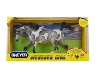 Breyer 2011 Treasure Hunt Gray Pinto Partly Cloudy Weather Girl New 