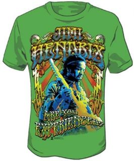 New Licensed Jimi Hendrix Are You Experienced Adult T Shirt S M L XL 