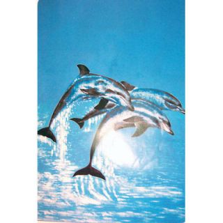 Super Plush DOLPHINS JUMPING Mink Style Blankets 79x95