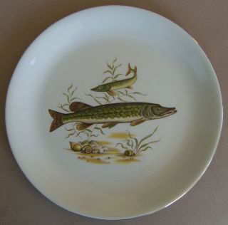 RARE Vintage Alfred Meakin Glo White Ironstone Fish Plate Dish England 