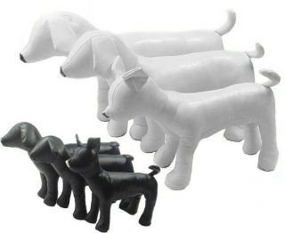 Interesting Dog PVC Mannequin Model Retail Pet Apparel Display DML 