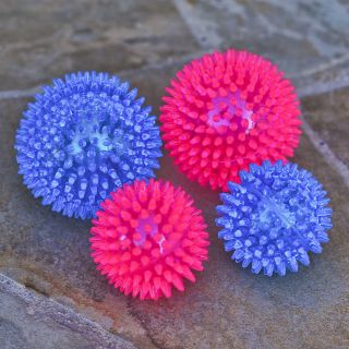 ZippyPaws Rubber Spikey Ball (2 Sizes)   Rubber Dog Toy