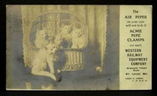 Cats Real Photo Ad Western Railway Equipment Co 1906