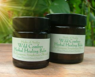 Wild Comfrey Herbal Healing Balm ~ Symphytum officinale Soothing Salve 
