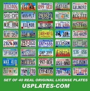car license plate in License Plates