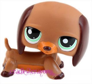 Littlest Pet Shop ♥ LPS ♥ CHOCOLATE BROWN DACHSHUND DOG GREEN 