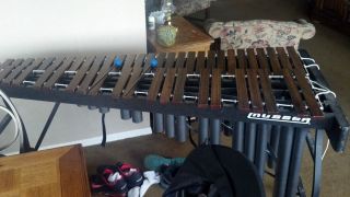 marimba in Xylophones, Vibes & Marimbas