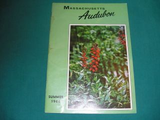 Massachusetts Audubon Society Magazine Summer 1966 Netting at High 
