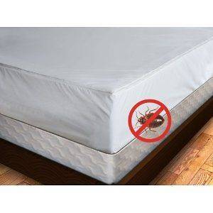 Zippered VINYL Mattress Protector ~ STOP Bed Bugs + STOP Allergens 
