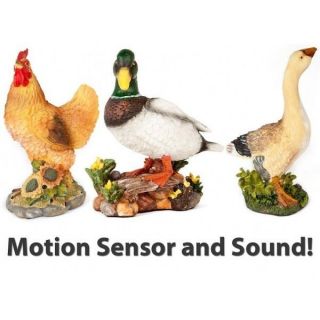 motion sensor animals