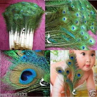 Lots Natural Real Peacock Feather Tail Eye 10 12 Inch for Halloween 