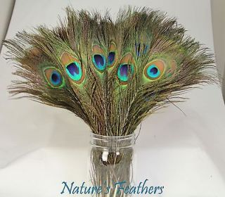25pcs Real, Natural Peacock Feathers about 10 12 Inches