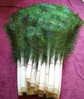 34 Long Natural Peacock Tail Eye Feathers__ Pack Of 100