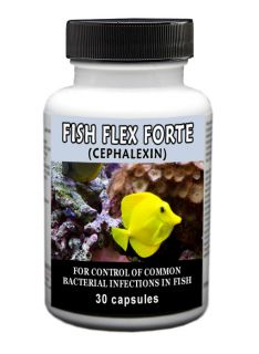 Antibiotic ♦ Fish Flex Forte 500mg ♦ Cephalexin ♦ 30 or 100 ct 