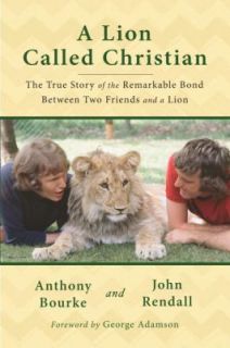   and a Lion by Anthony Bourke and John Rendall 2009, Hardcover