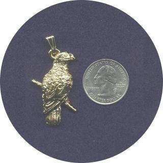 AFRICAN GREY PARROT PENDANT in 24 karat GOLD PLATED PEWTER with FREE 
