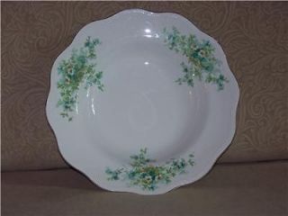 Vintage CP CO DIXIE Crown Potteries China Rimmed Bowl