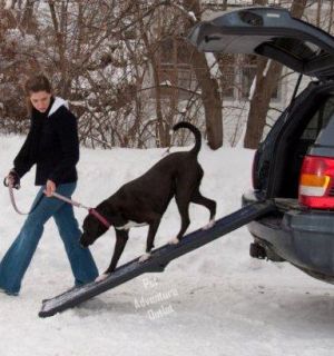 Pet Gear Travel Lite 66 Long Pet Dog Ramp TL9166BB