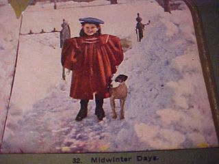 MID WINTERS DAYS OLD STEREO VIEWER CARDS