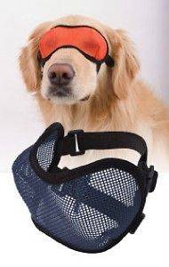 Doggles Dog Mesh Eyewear Protecting Goggles BLUE ~SM