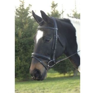   Consort Bridle in Pony   quality bridle includes dressage reins NEW