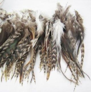 rooster feathers in Womens Accessories