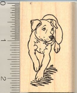 Pitbull Terrier Dog rubber stamp G10712 WM